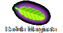 Radula Marginata