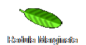 Radula Marginata